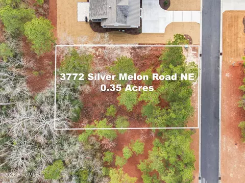 3772 Silver Melon Rd NE, Leland, NC 28451
