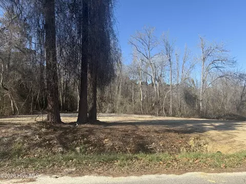 tbd Sunset Dr, Conway, SC 29526 photo 3