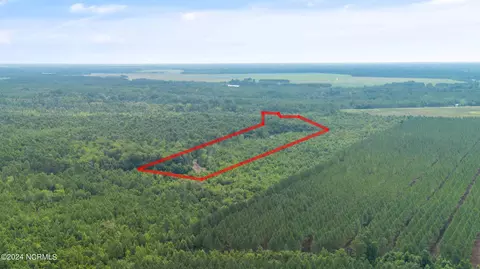 1 Lizzie Henry Rd, Ivanhoe, NC 28447 photo 7