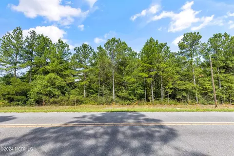 1 Lizzie Henry Rd, Ivanhoe, NC 28447 photo 3
