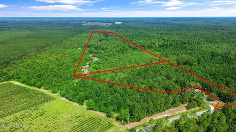 1 Lizzie Henry Rd, Ivanhoe, NC 28447 photo 2