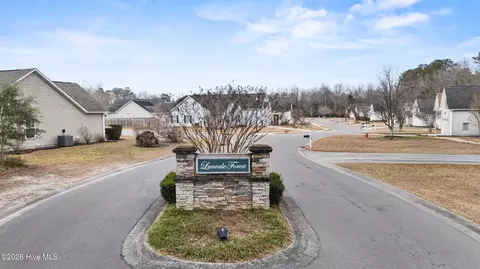 View/Area - 8564 Primm Forest Dr NE, Leland, NC 28451 photo 1 of 2