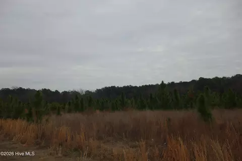lot32 Stuarts Mill Rd, Fairmont, NC 28340