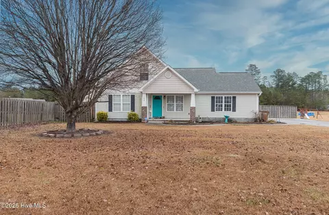 106 Michelle Ward Ln, Maple Hill, NC 28454