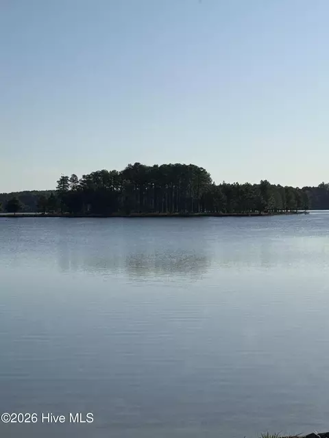 175 Longleaf Dr, West End, NC 27376 photo 4