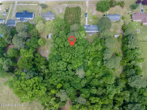 1807 Will Cunningham Rd, Deep Run, NC 28525 photo 7