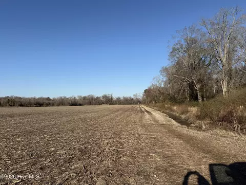 7426 Nc 99 Hwy N, Pantego, NC 27860