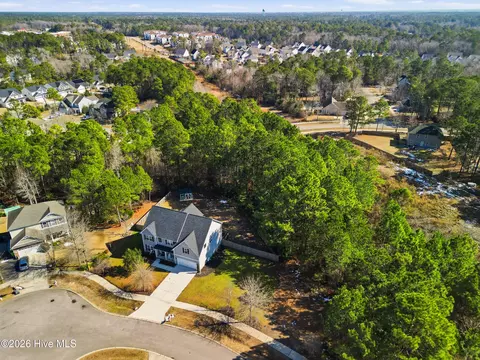 111 Lumis Ct, Hampstead, NC 28443 photo 3