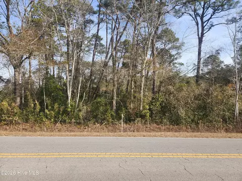 9 Ac Colon Mintz Rd, Leland, NC 28451
