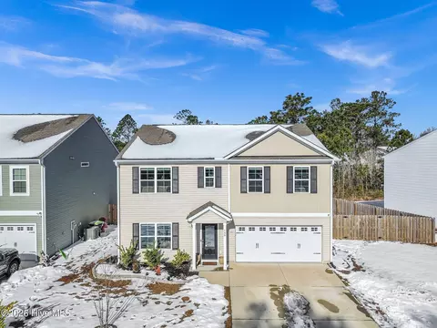 146 Plumtree Ln, Castle Hayne, NC 28429