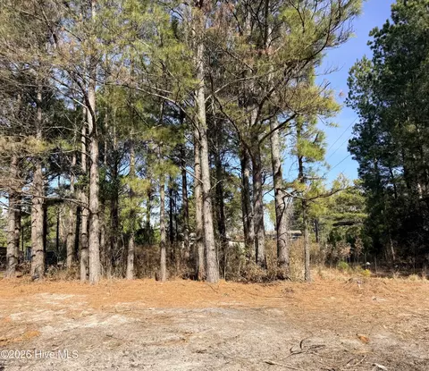 lot21 Branch Dr, Burgaw, NC 28425