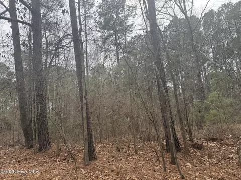 474 Stanton Hill Rd, Cameron, NC 28326