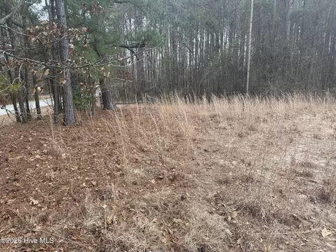 474 Stanton Hill Rd, Cameron, NC 28326 photo 2