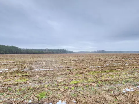tbd Ramsey Ford Rd, Tabor City, NC 28463