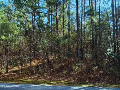 883 Loblolly Dr, Vass, NC 28394