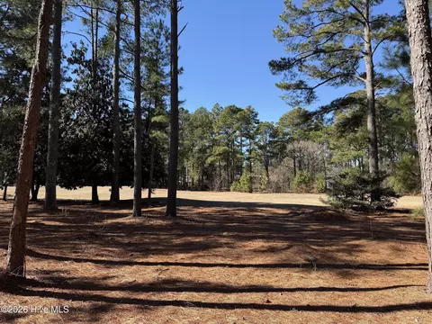 195 Erfie Dr N, Pinebluff, NC 28373 photo 2