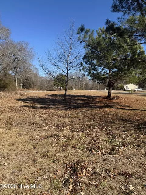 117 Old Beechtree Ln, Jacksonville, NC 28540