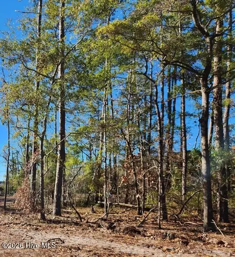 lot197 Fletcher Key St, Southport, NC 28461