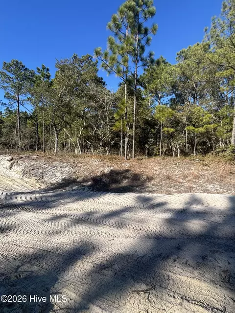 lot221 Starling Break Rd, Southport, NC 28461