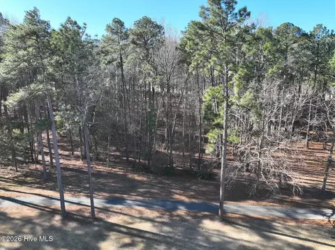 214 Meyer Farm Dr, Pinehurst, NC 28374 photo 3