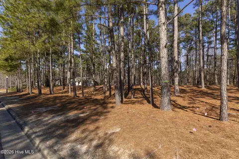 214 Meyer Farm Dr, Pinehurst, NC 28374 photo 9