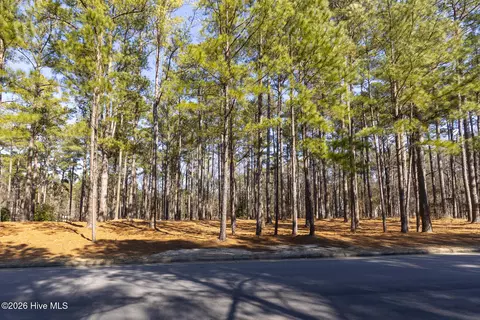 214 Meyer Farm Dr, Pinehurst, NC 28374 photo 7