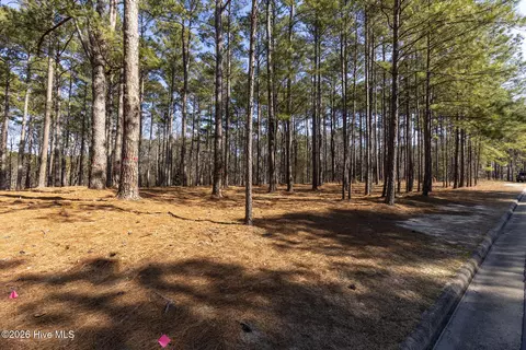 214 Meyer Farm Dr, Pinehurst, NC 28374 photo 8