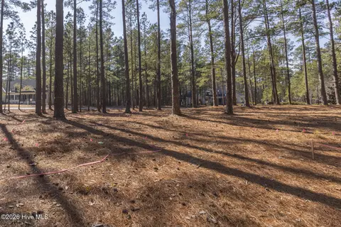 214 Meyer Farm Dr, Pinehurst, NC 28374 photo 11