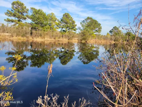 lot428 Bay Tree Dr, Harrells, NC 28444