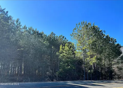 tbd Horseshoe Road Rd, Rockingham, NC 28379