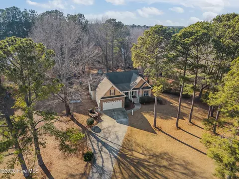 View/Area - 441 Lasater Rd, Bunnlevel, NC 28323 photo 1 of 4