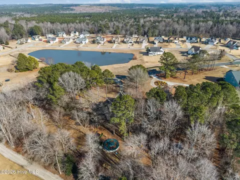 View/Area - 441 Lasater Rd, Bunnlevel, NC 28323 photo 3 of 4