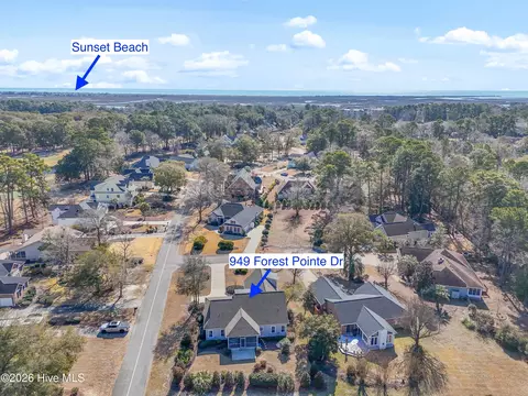 View/Area - 949 Forest Pointe Dr, Sunset Beach, NC 28468 photo 3 of 6