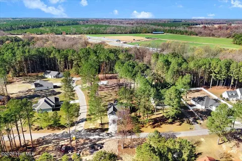 View/Area - 1774 Walnut Run Dr, Deep Run, NC 28525 photo 2 of 4