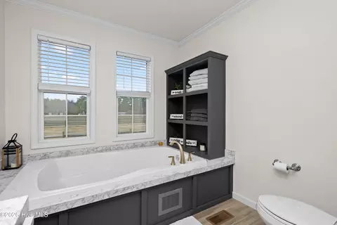 Bath - 205 Terrace Ln, Conway, NC 27820 photo 5 of 7