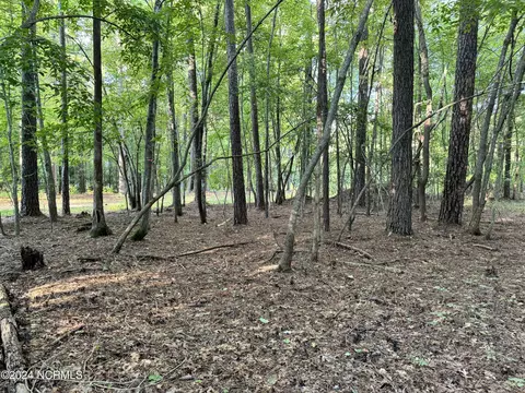 81 Beans Bnd, Chocowinity, NC 27817 photo 11