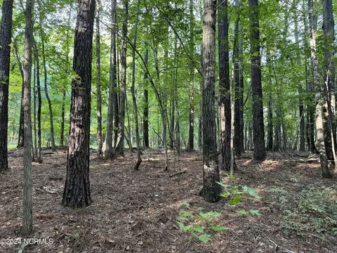 81 Beans Bnd, Chocowinity, NC 27817 photo 6