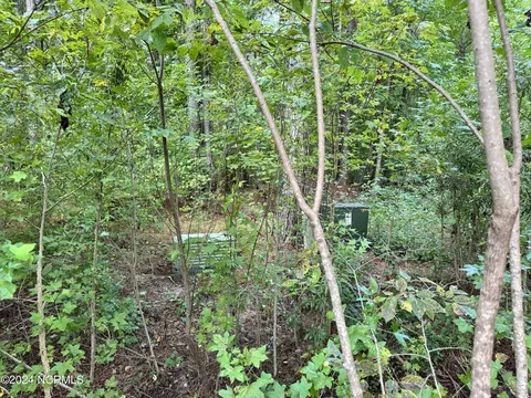 81 Beans Bnd, Chocowinity, NC 27817 photo 12