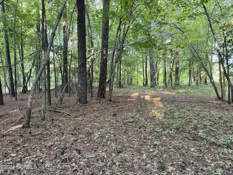 81 Beans Bnd, Chocowinity, NC 27817 photo 10