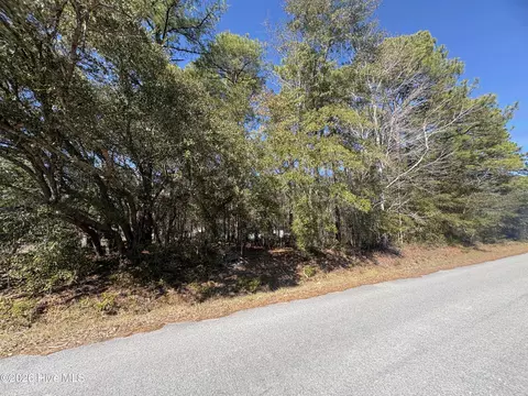 1 Maple Rd, Boiling Spring Lakes, NC 28461 photo 2