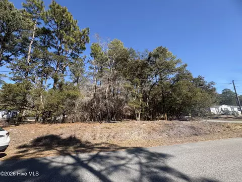 1 Maple Rd, Boiling Spring Lakes, NC 28461