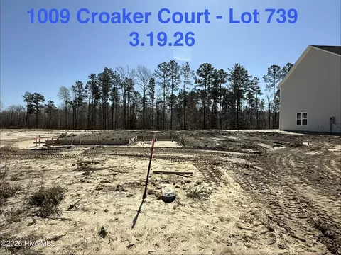1009 Croaker Ct, New Bern, NC 28562