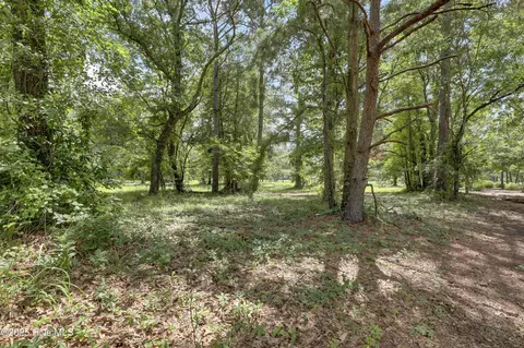 176 Red Fox Run Dr, Wallace, NC 28466 photo 19