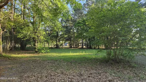 176 Red Fox Run Dr, Wallace, NC 28466 photo 14