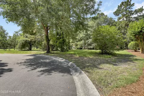 176 Red Fox Run Dr, Wallace, NC 28466 photo 8