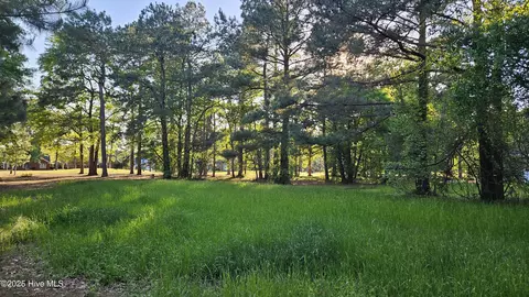 176 Red Fox Run Dr, Wallace, NC 28466 photo 17