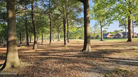 176 Red Fox Run Dr, Wallace, NC 28466 photo 9