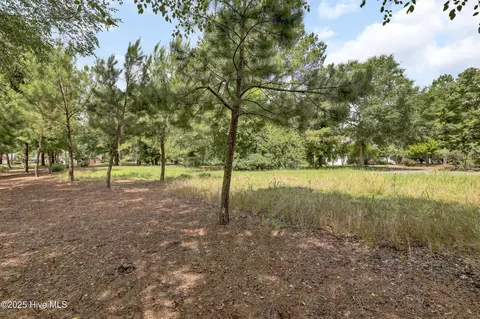 176 Red Fox Run Dr, Wallace, NC 28466 photo 20