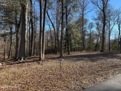 124 River Bluffs Dr, Castle Hayne, NC 28429