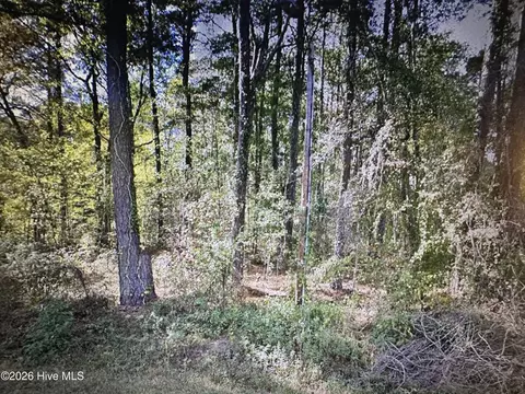 88 Oak Road, Lake Waccamaw, NC 28450